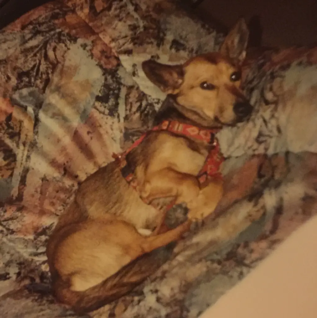 Andachtsbild von Manuela dein Frauchen 