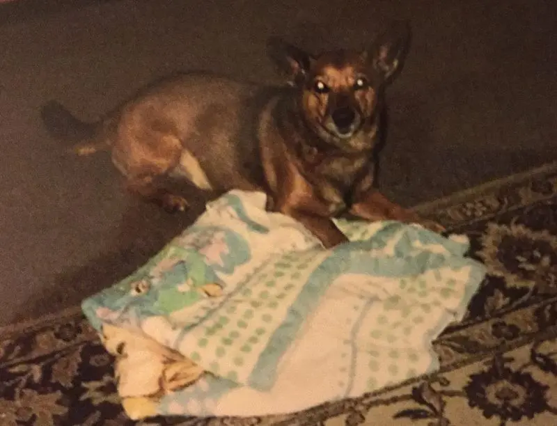 Andachtsbild von Manuela dein Frauchen 