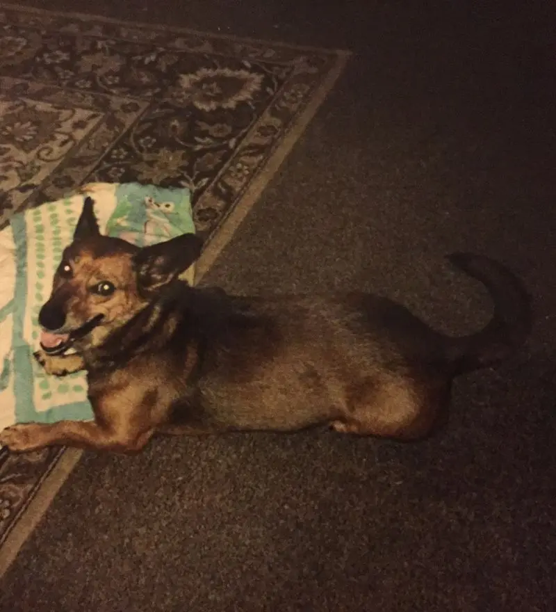 Andachtsbild von Manuela dein Frauchen 