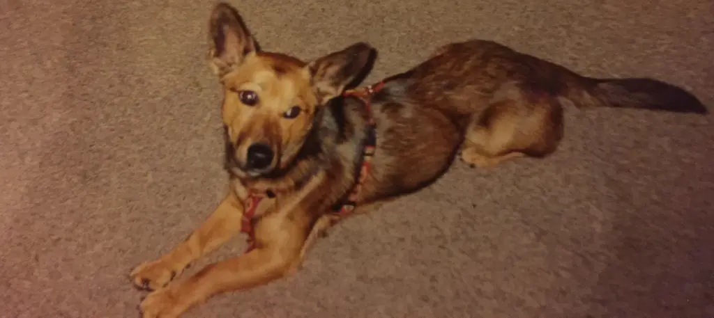 Andachtsbild von Manuela dein Frauchen