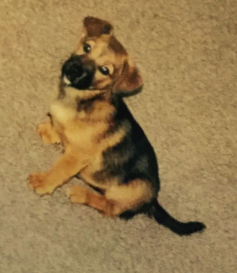 Andachtsbild von Manuela dein Frauchen