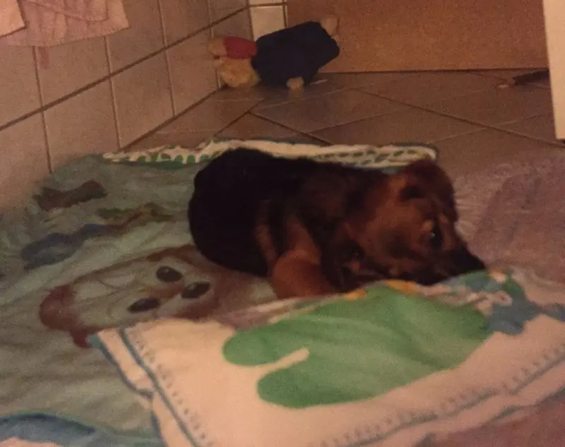 Andachtsbild von Manuela dein Frauchen