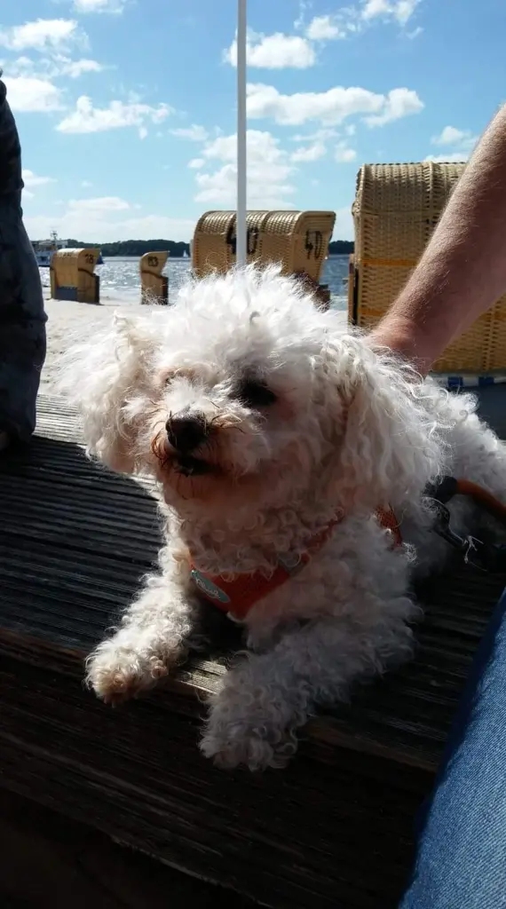 Image from Bluna