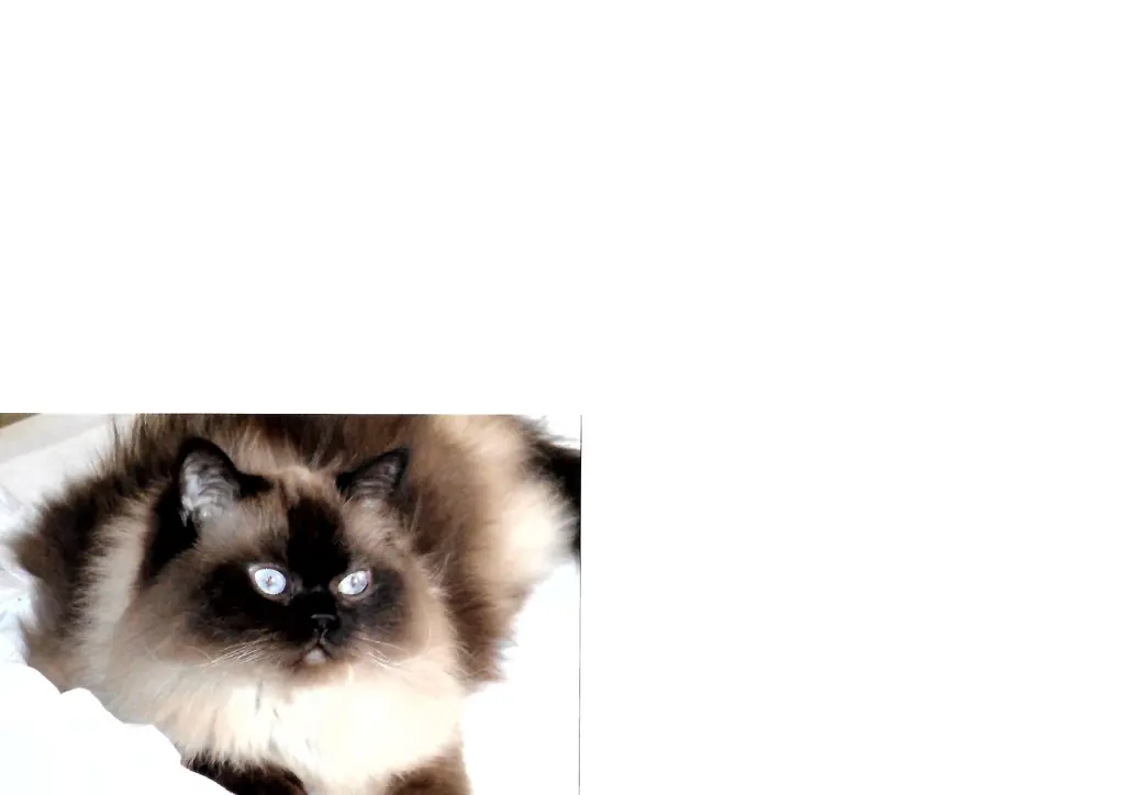 Image from Luna