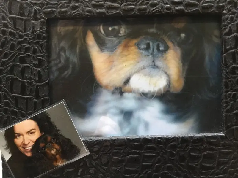 Condolence image of Dein Frauchen