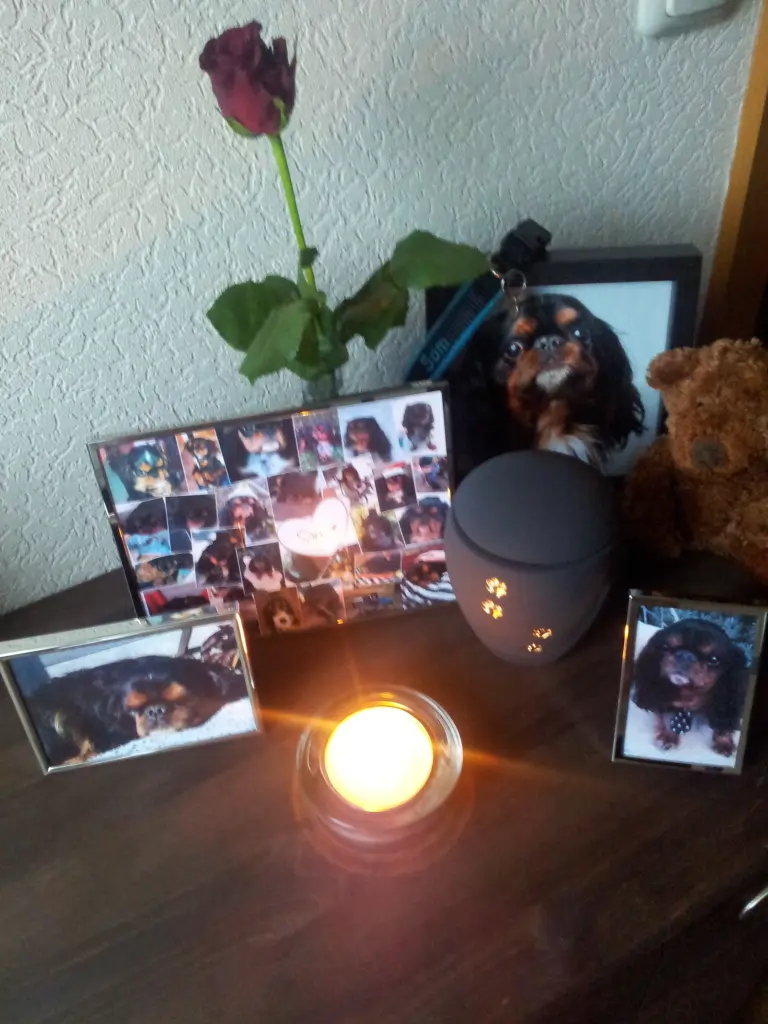Condolence image of Dein