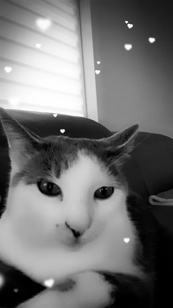 Image from Lucky