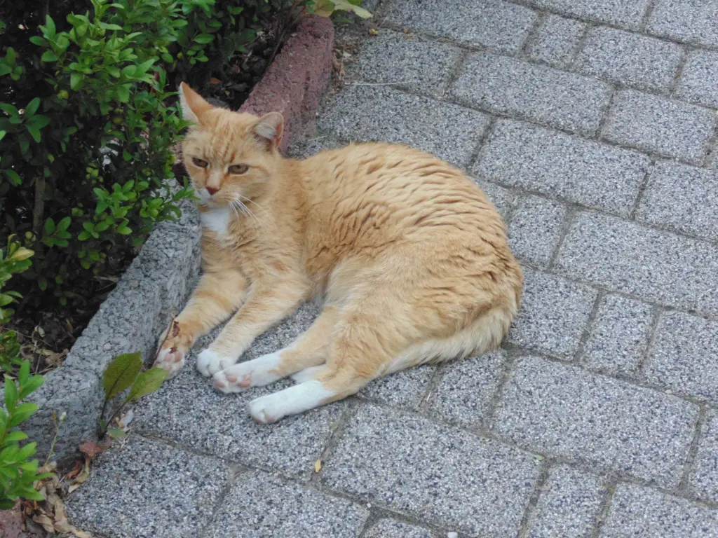 Condolence image of Unbekannt
