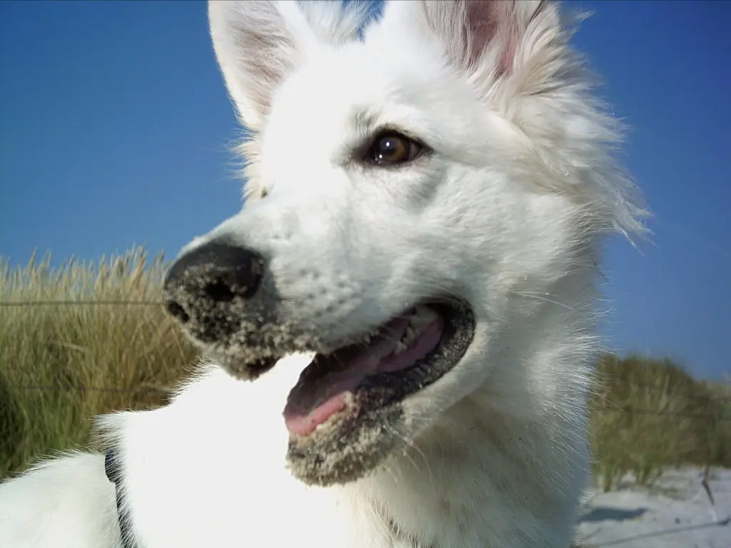 Image from Loona