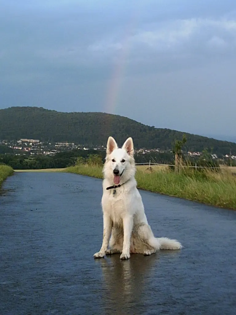 Image from Loona