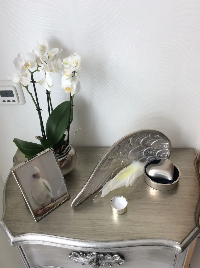 Image from Rico