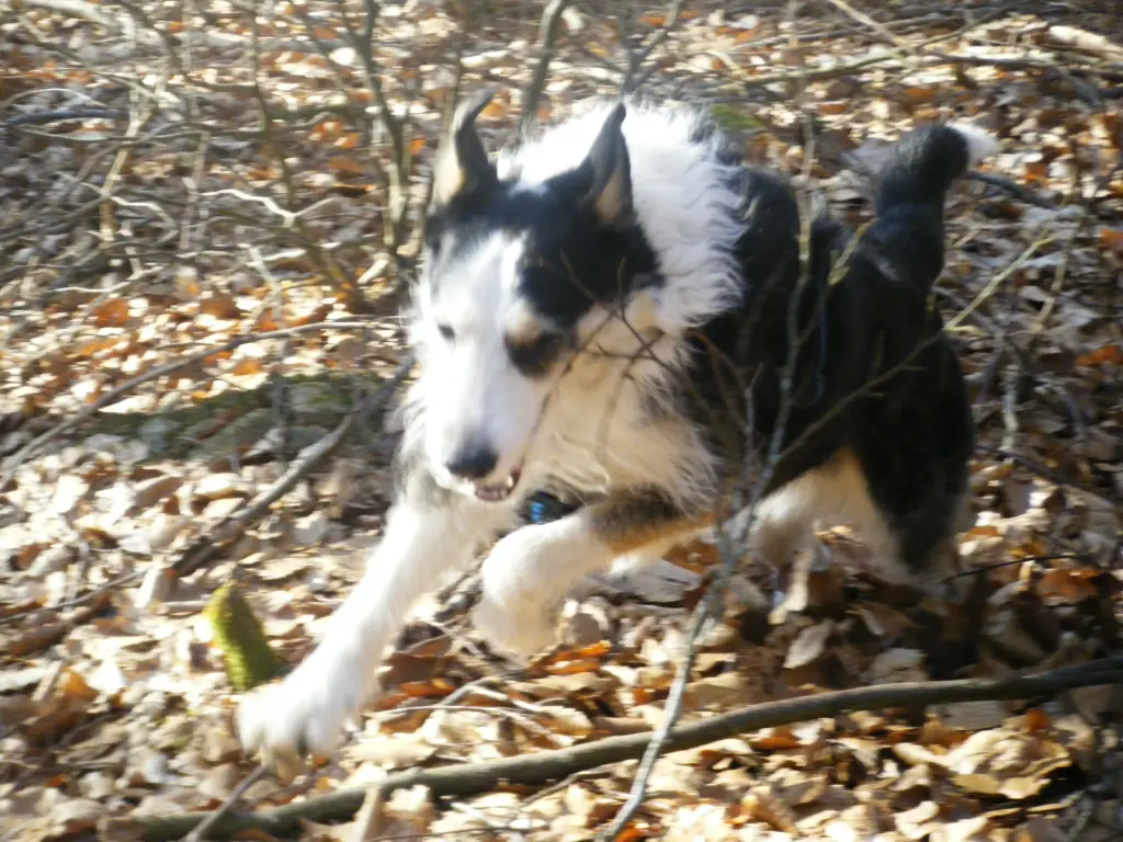 Condolence image of Anke