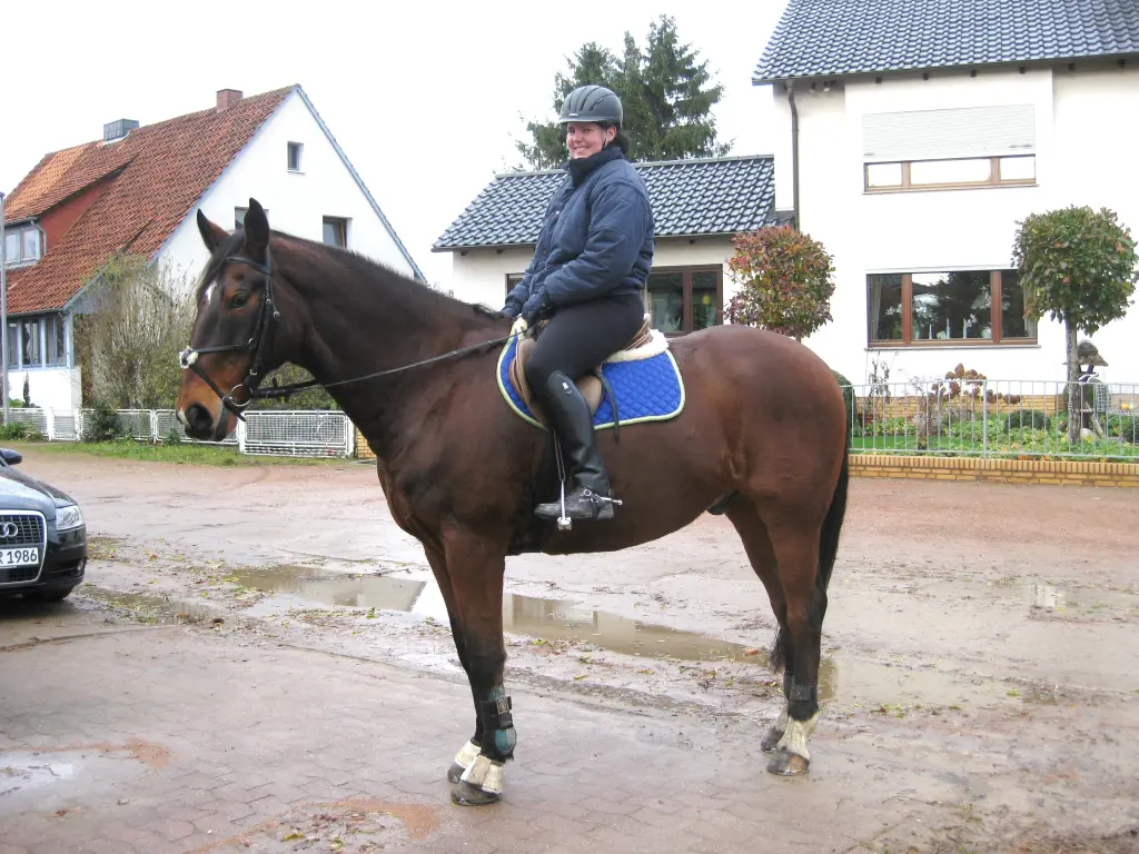 Image from Boris Pilot