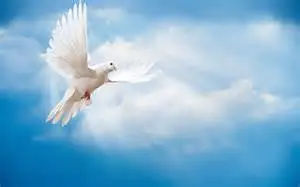 Condolence image of Carmen