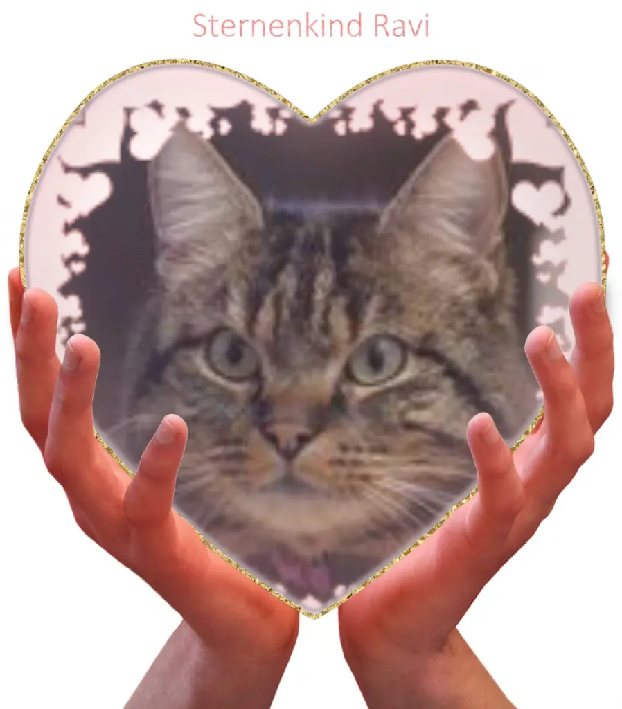 Condolence image of Angelika Josten