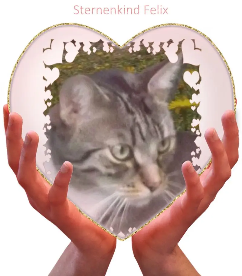 Condolence image of Peter