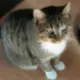 Condolence image of Britta -Rocky's Lieblingsmensch-