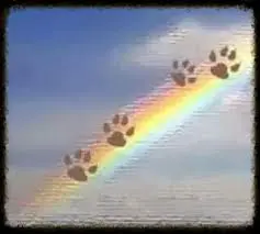 Condolence image of Britta -Rocky's Lieblingsmensch-