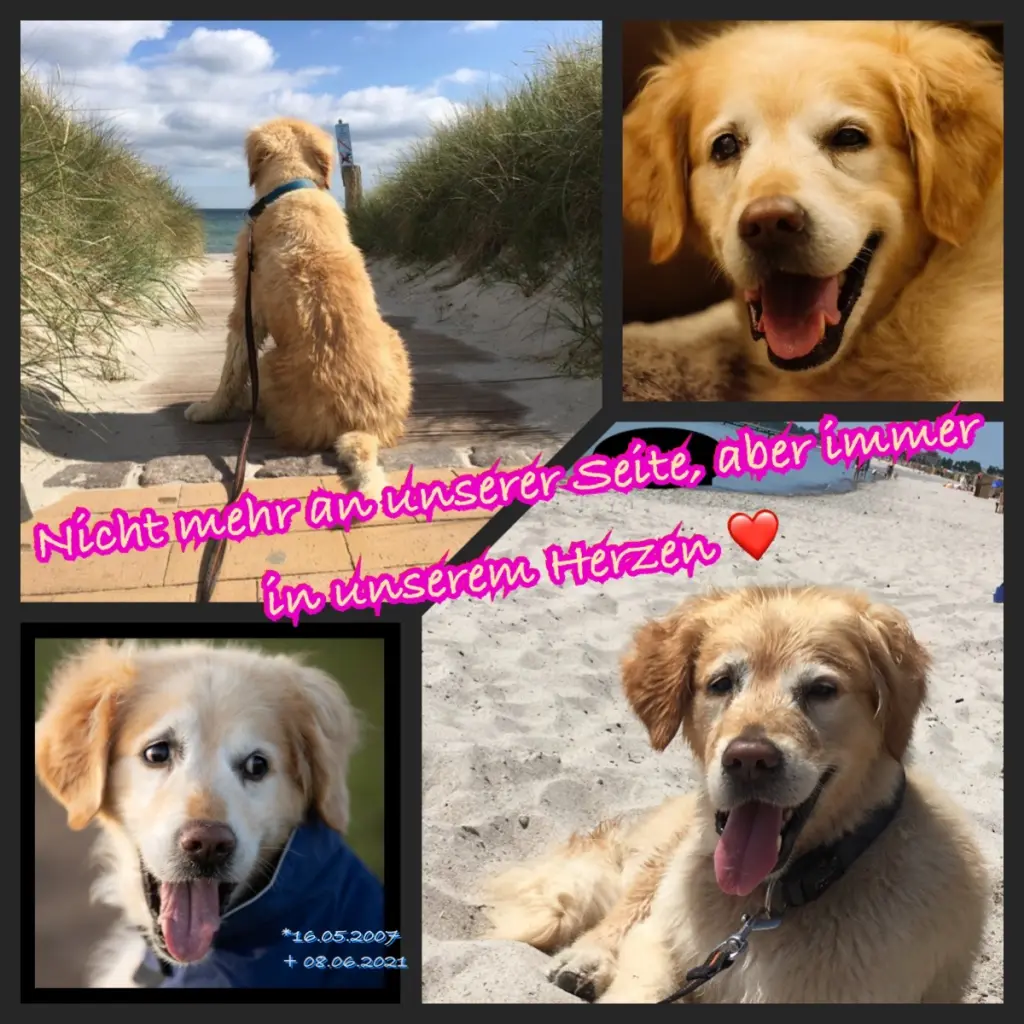 Condolence image of Verena