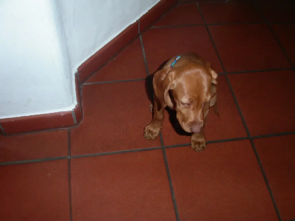 Image from Lilli