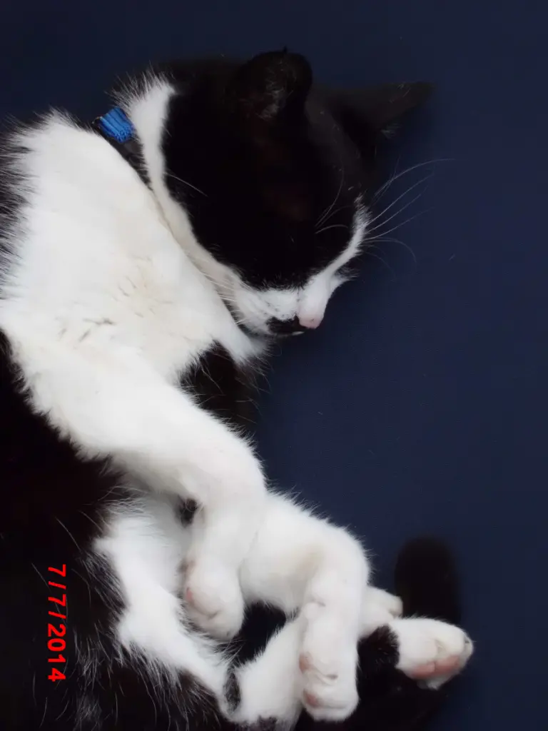 Condolence image of Jacqueline