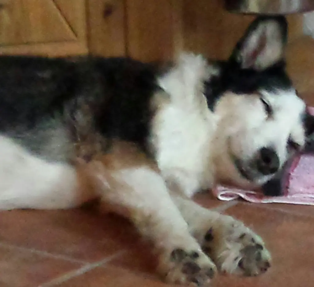 Condolence image of Anke