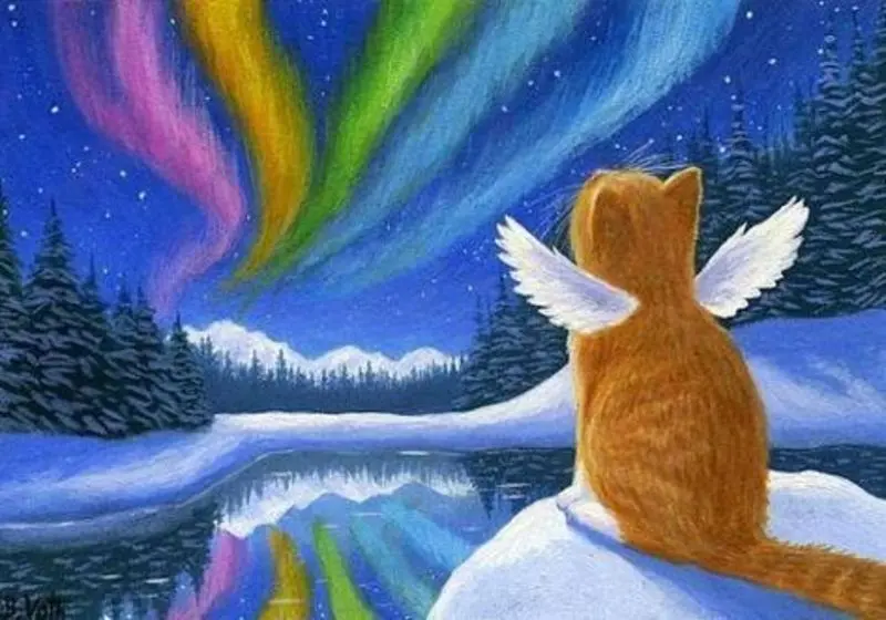Condolence image of Sabine mit Luna & Milo tief im Herzen