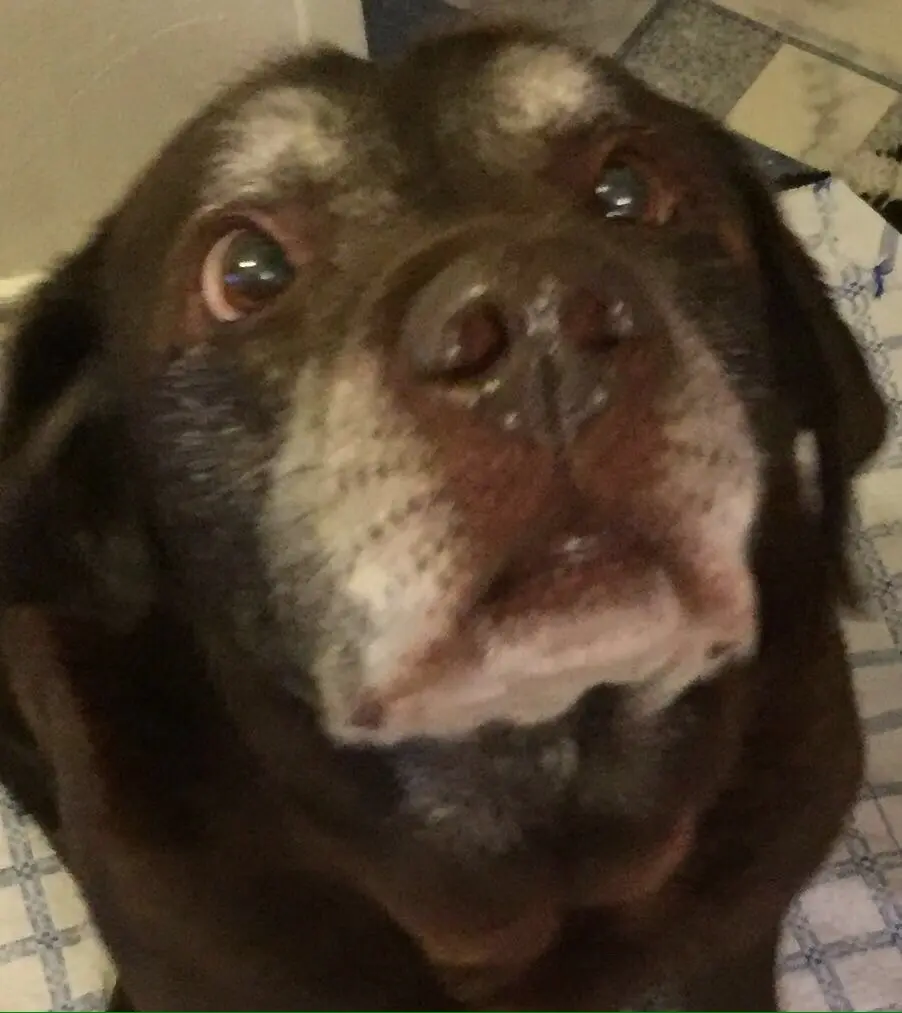 Condolence image of Bea