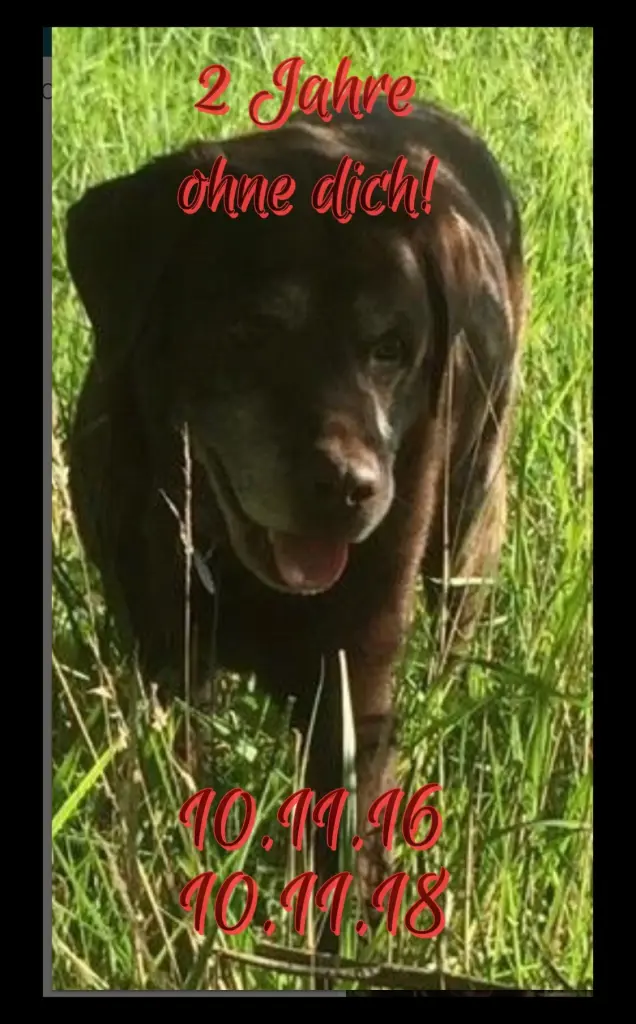 Condolence image of BeTh