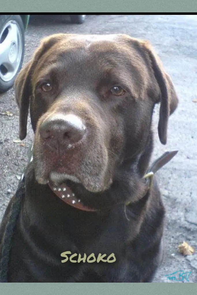 Condolence image of BeTh