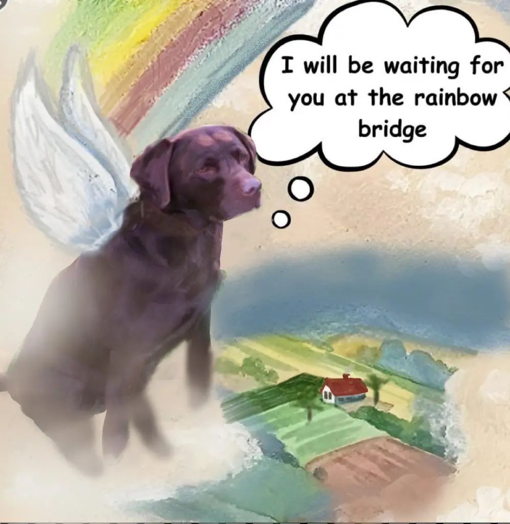 Condolence image of Bea
