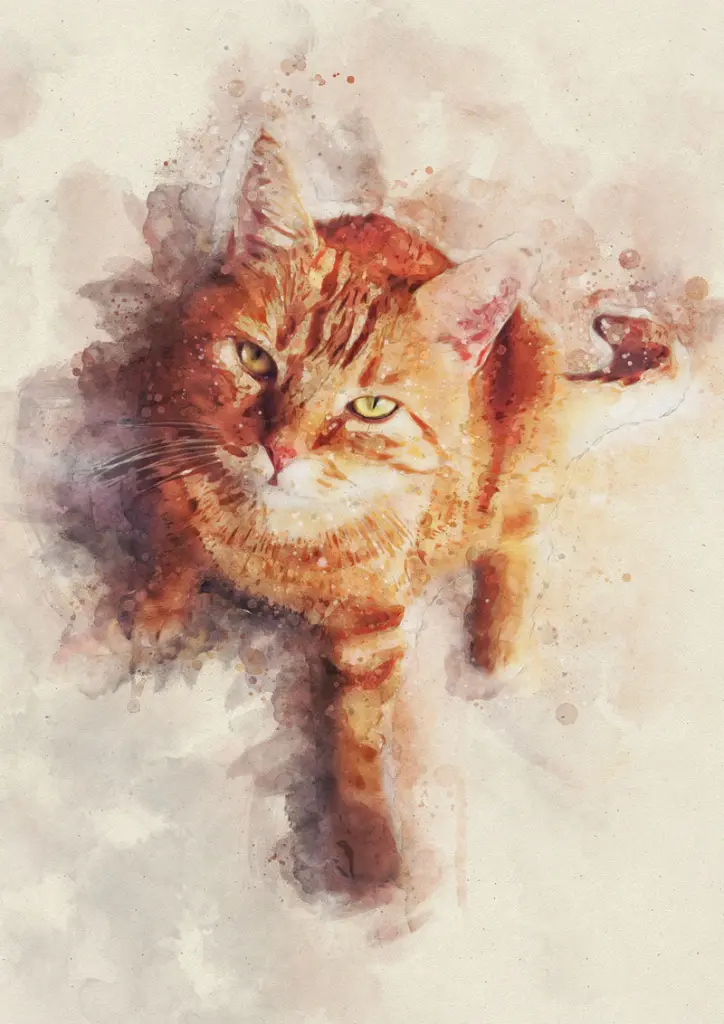Condolence image of Michelle & Garfield