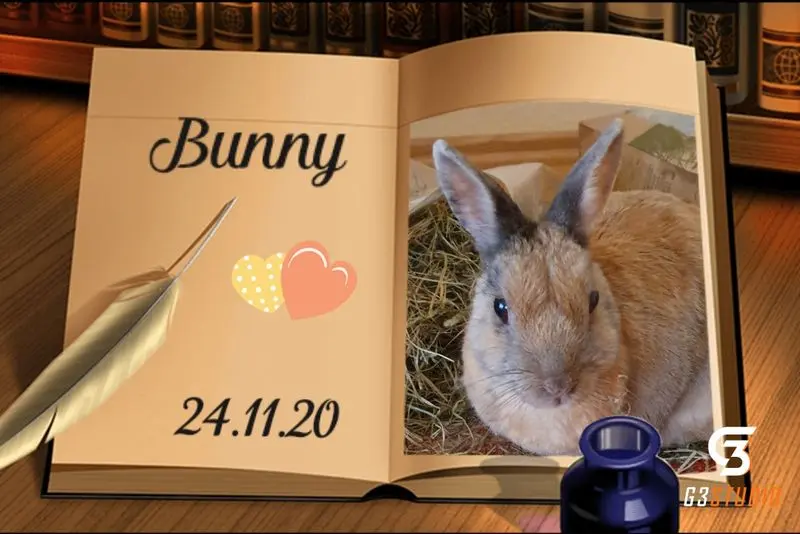Condolence image of Patricia mit Bunny im ❤ gest. 24.11.2020
