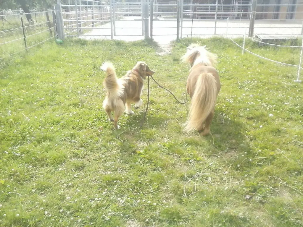 Bild von Hannes