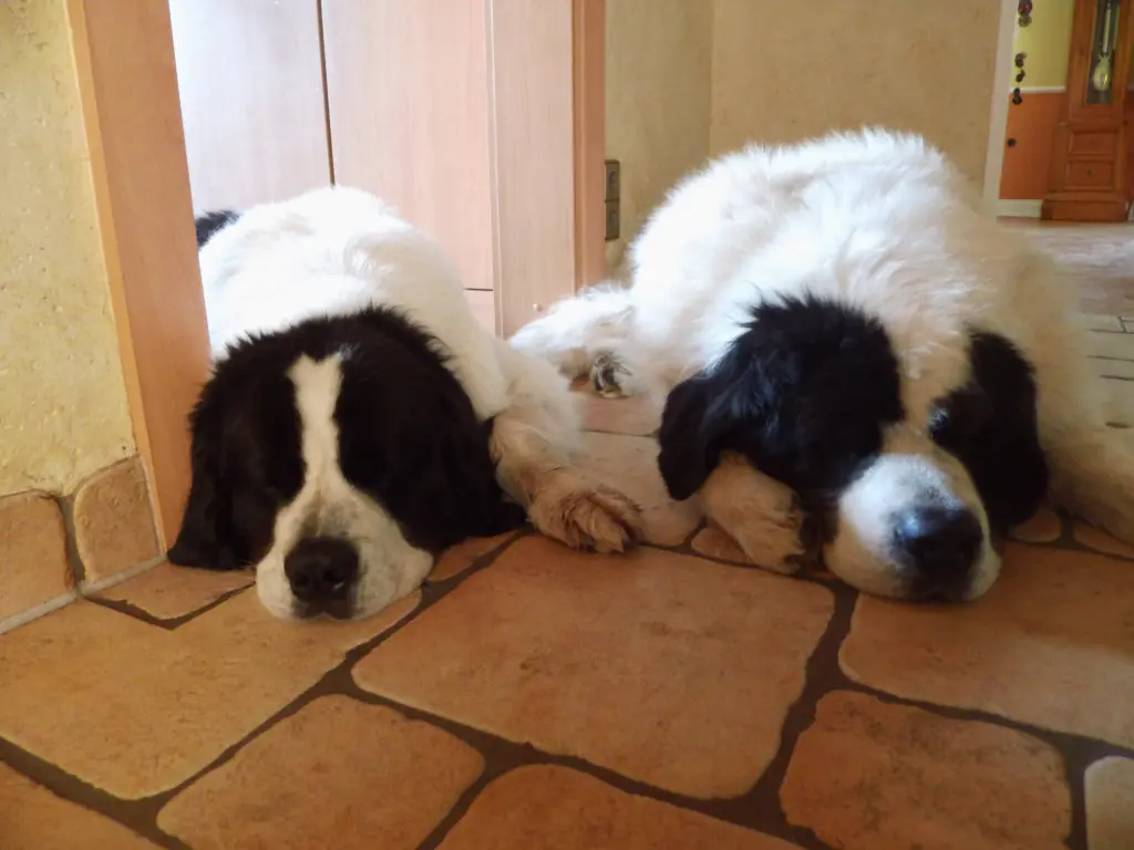 Image from Willi