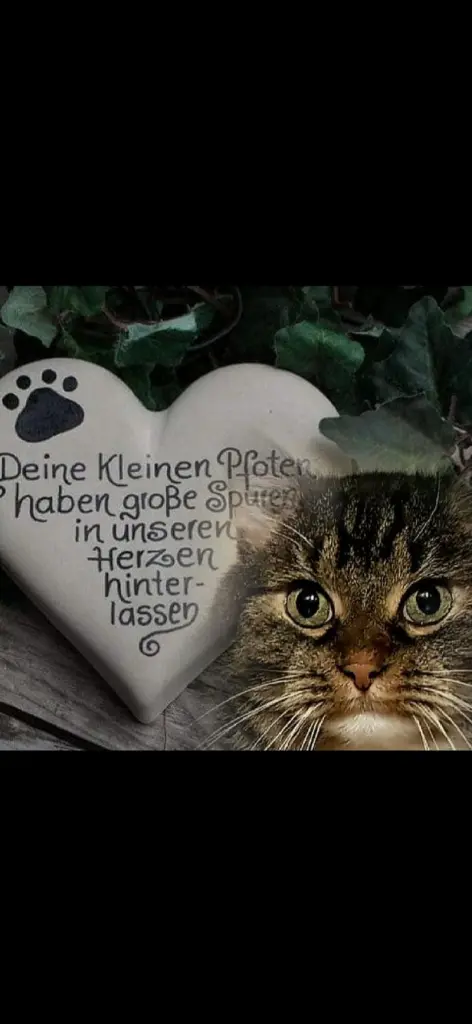 Condolence image of Marion