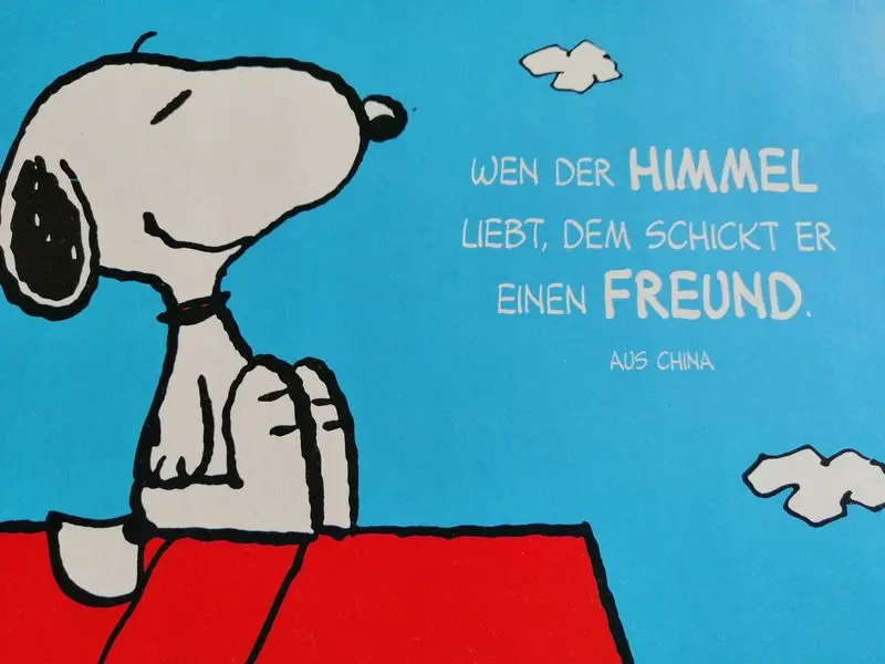 Condolence image of Monika mit Kalle im Herzen 