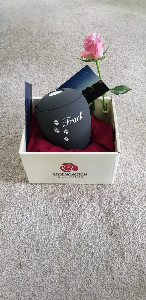 Image from Frank