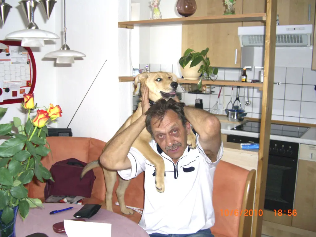 Image from Schröder