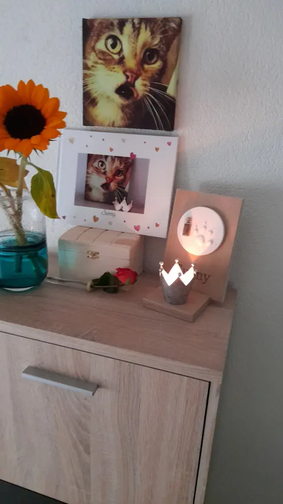 Image from Sunny