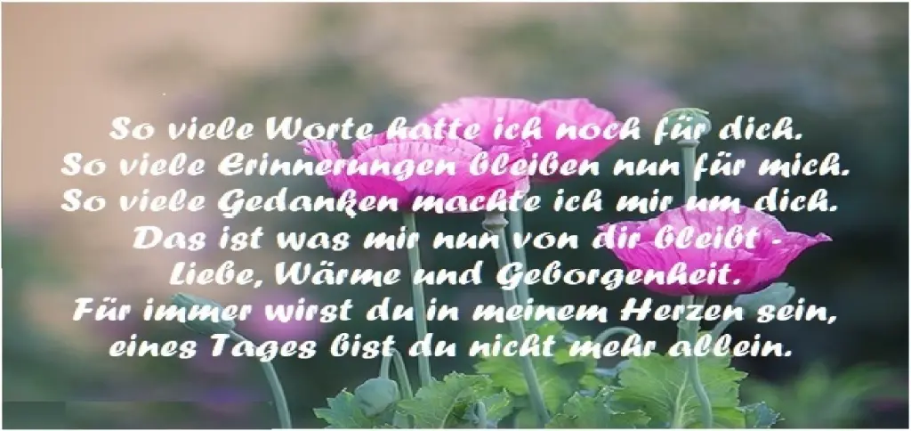 Image from Miki