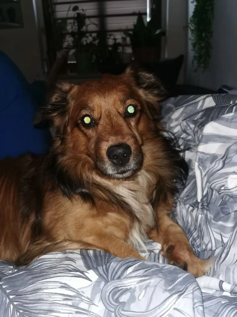 Condolence image of Simone
