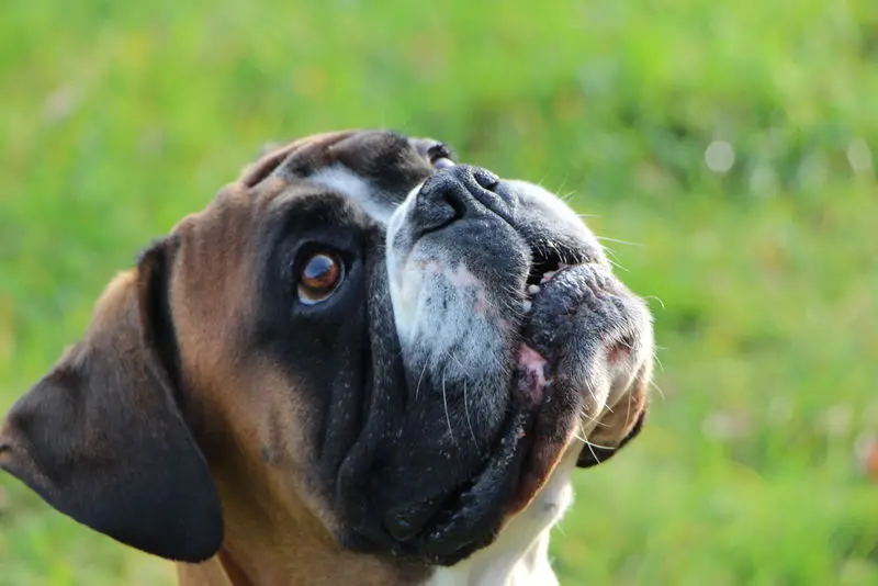 Condolence image of Sabine