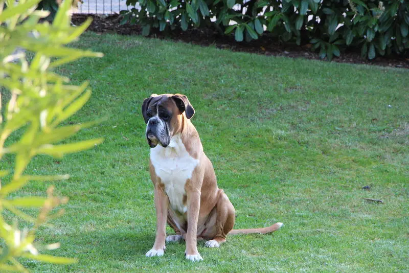 Condolence image of Sabine