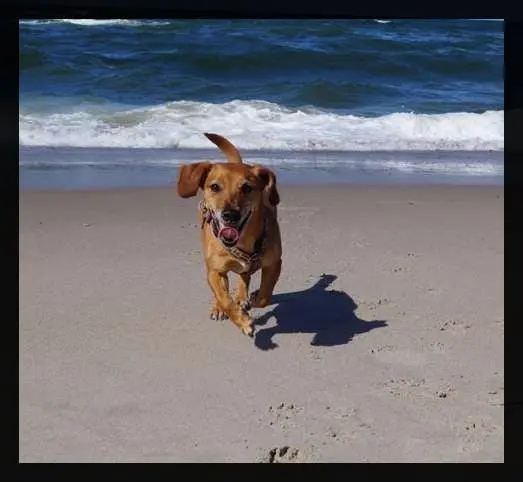 Image from Mrs. Sunny Whippy ( Kuschelshrimp)