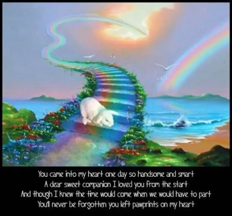 Condolence image of Anja