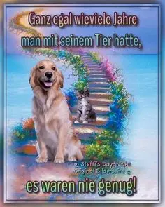 Condolence image of Claudia/ASKO ❤