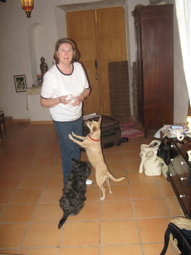 Image from Dana