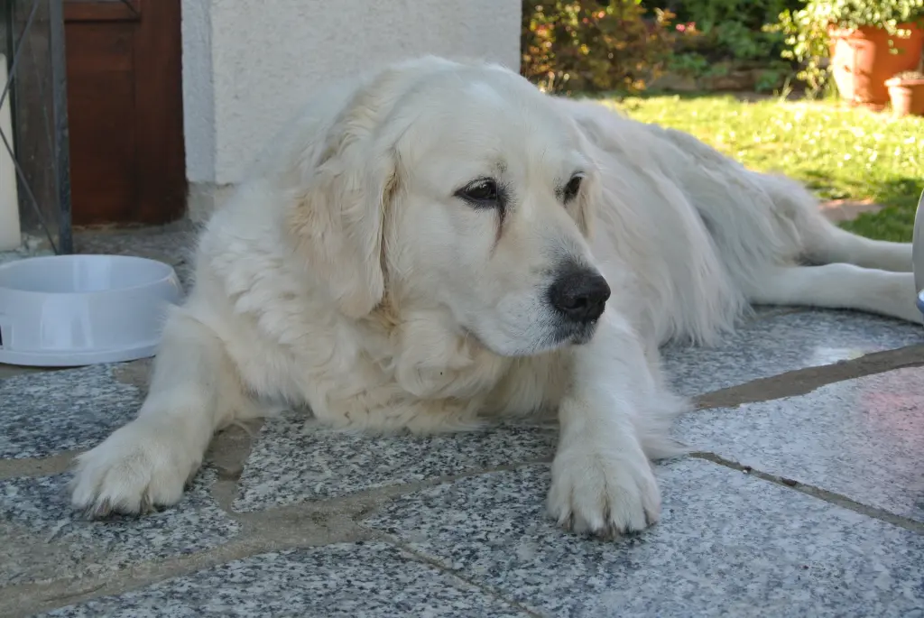Image from Jule