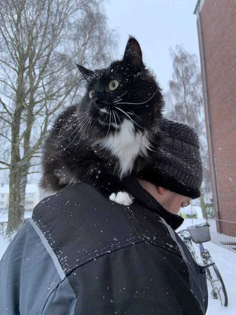 Image from Medivh
